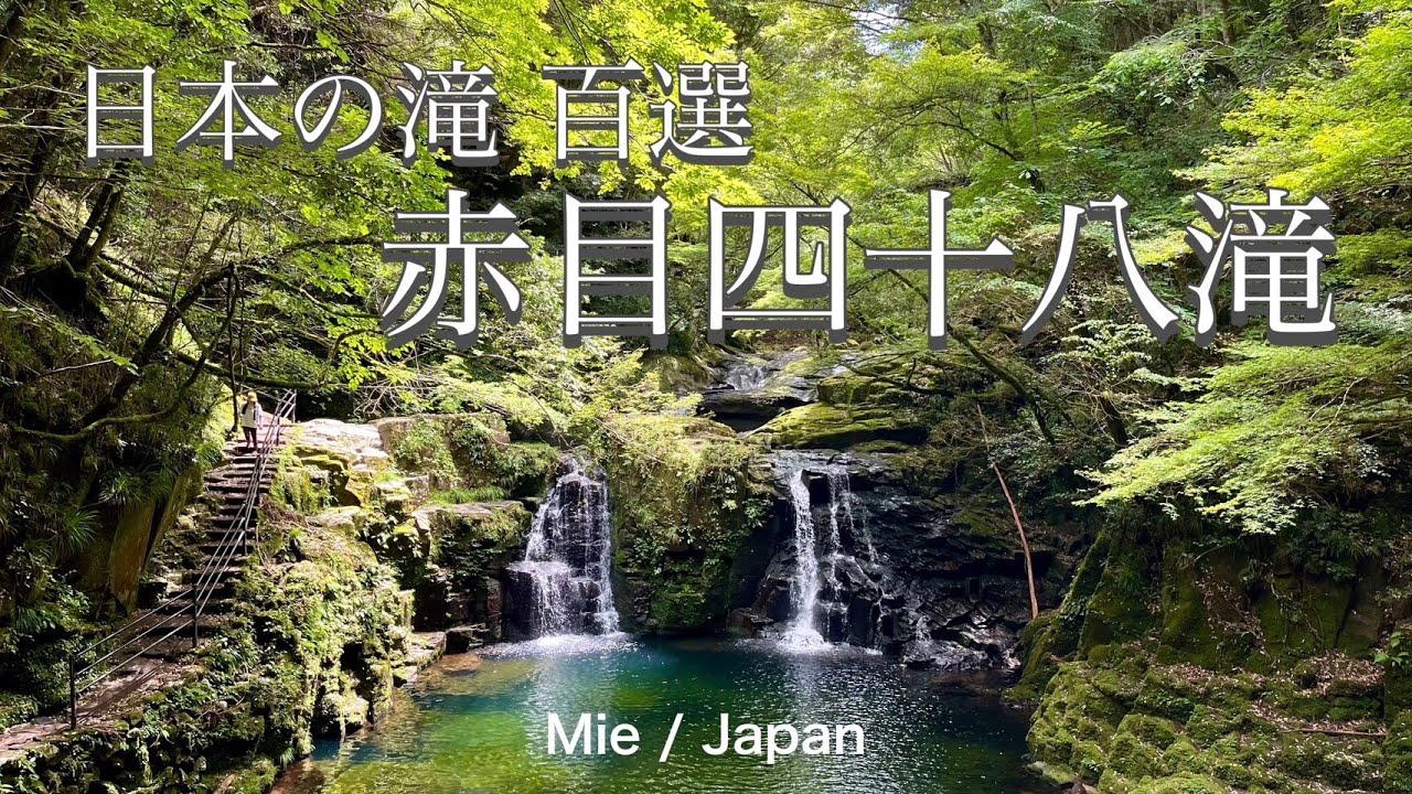 日本の滝百選に選ばれた❗️【三重県 赤目四十八滝】ハイキングに最高🍃/ 楽しみ方解説