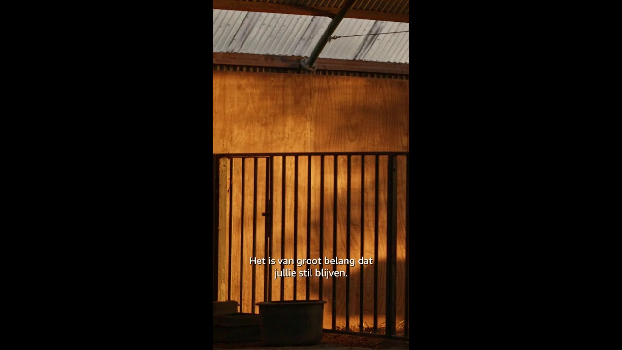 Meer modder. Meer chaos. Meer drama. 🦃👠