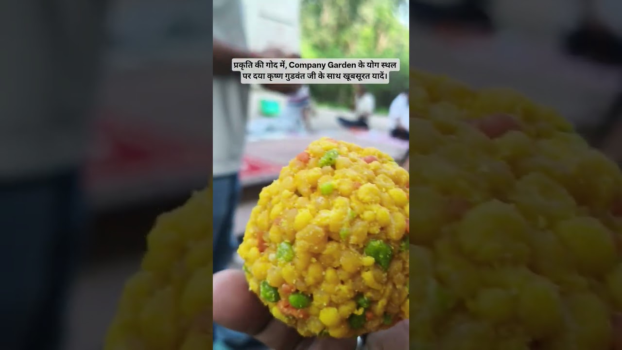 प्रकृति की गोद में, Company Garden के योग स्थल पर दया कृष्ण गुडवंत जी के साथ खूबसूरत यादें।
