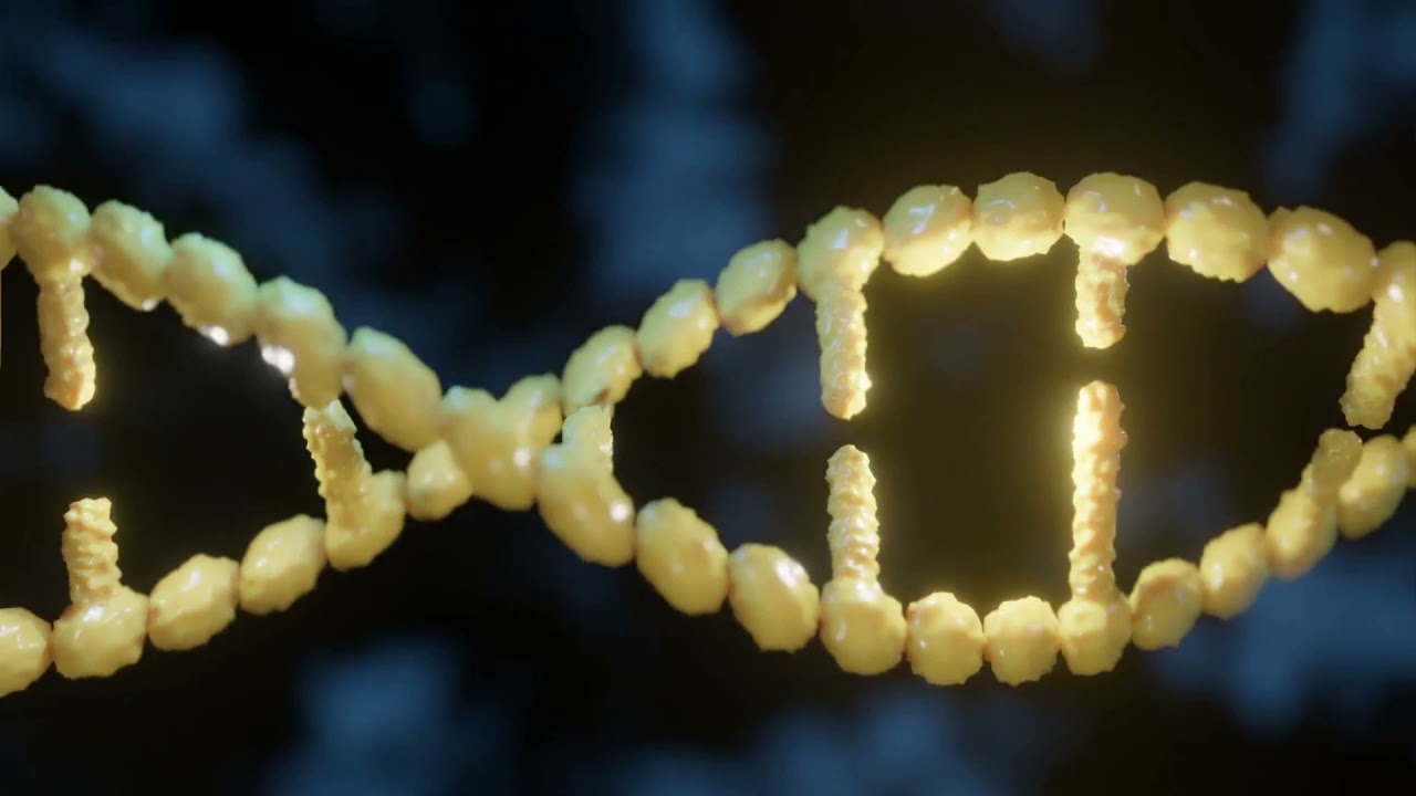 ELŐSZÓ: Örökölt sors (Orvos-Tóth Noémi hangoskönyve - részlet)