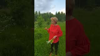 Деревня Кукушкино, 14 соток, ул. 2-я линия, уч. 31.