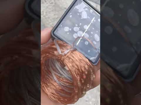 Solar Christmas Lights Short