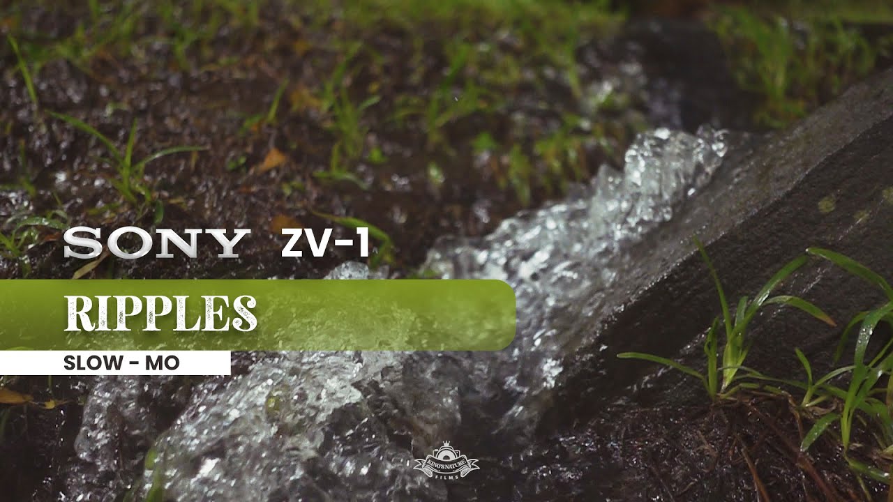 RIPPLES - SONY ZV #nature #camera #drone #film #water #sonyzv1 #rain #drawing #trending
