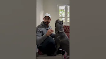 تابعوني إنستغرام Taha Asaad ناطركم 