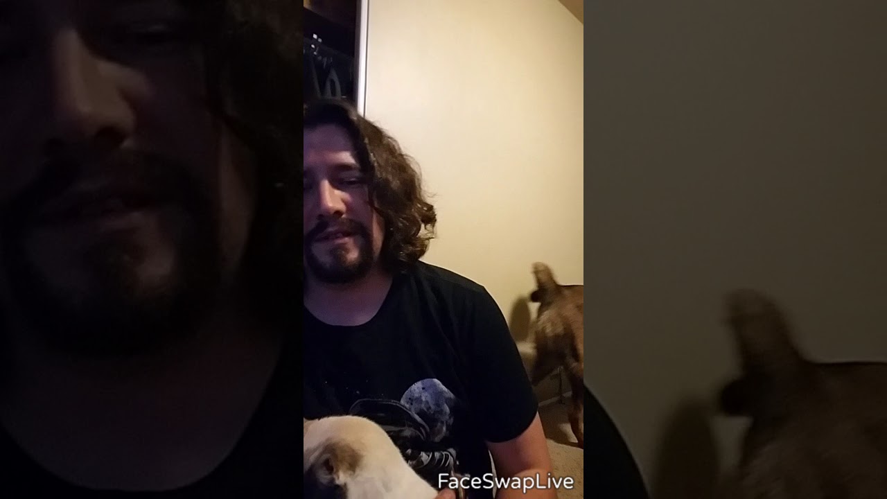 Face swap with cat 
