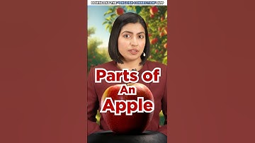 Parts of an Apple in English 🍎 | Spoken English Words | Kanchan Keshari English Connection #shorts