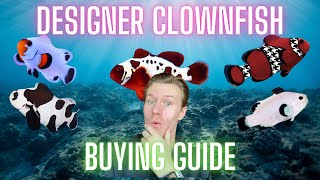 Designer Clownfish - The Guide to Getting the Coolest Clowns for Your Tank! by Some Things Fishy 41,352 views 3 years ago 10 minutes, 48 seconds