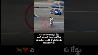 🥹 ఈ బాలుడి | Boy Helps Disabled Dog Cross the Road, Wins Hearts Online! | Telugu animal love Short
