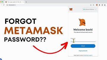 How to Reset MetaMask Wallet Password? | Forgot MetaMask Password?