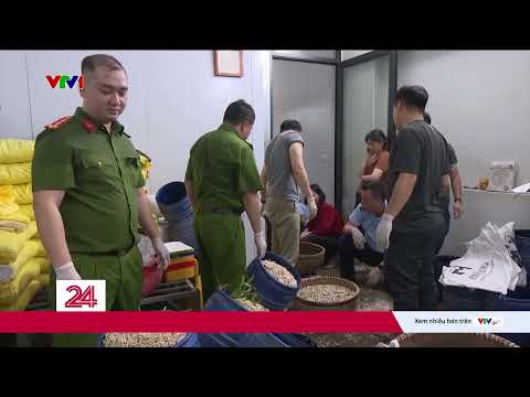 Quảng Ninh: Chặn đứng đường dây sử dụng chất cấm để sản xuất giá đỗ | VTV24