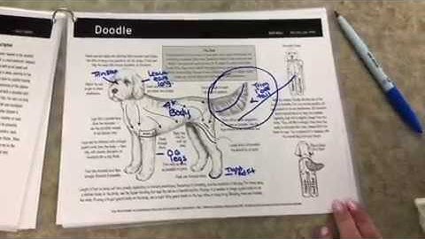 Shortcuts from the Grooming Table Video Clip -DGR175