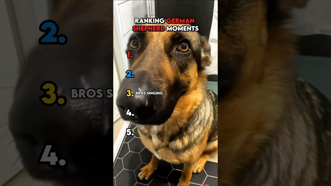 Don’t Click The Sound! ⚠️