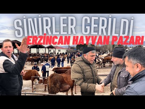 ERZİNCAN HAYVAN PAZARI / 15 ŞUBAT 2024