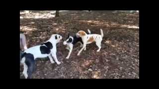FOHA Buddies 8/28/14