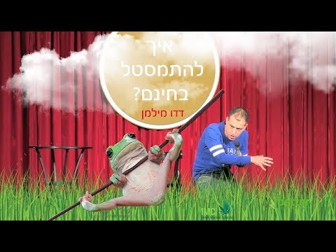 דדו מילמן - איך להתמסטל בחינם?