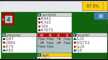 Different Ways to Replay BBO Hands
