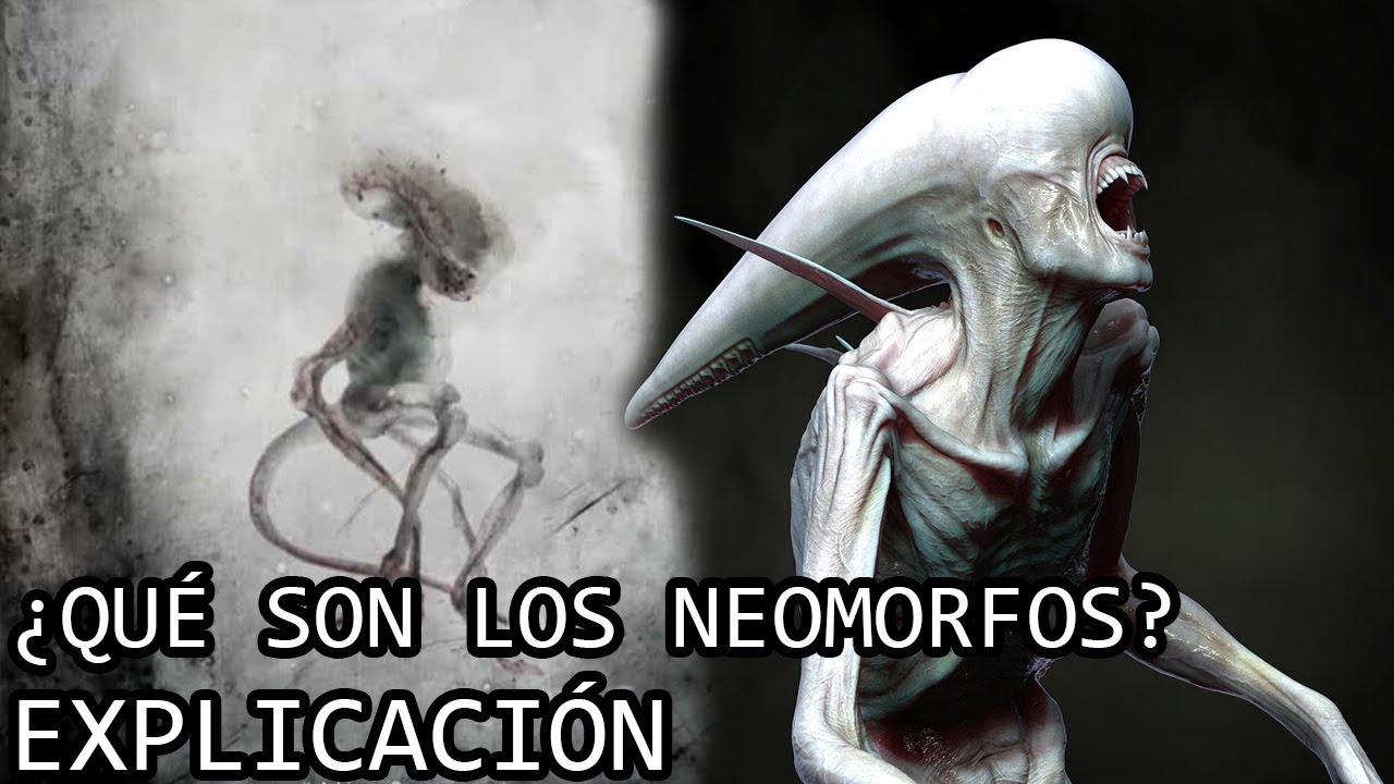 ¿Qué son los Neomorfos? EXPLICACIÓN Los Neomorfos o Neomorphs del