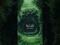 افضل منبه للصلاة و خاصةً صلاه الفجر. وديع اليمني #اسلام #وديع_اليمني