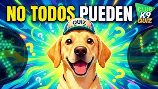 (2/5) HOW MANY DOG BREEDS DO YOU KNOW? | 50 BREEDS | K9 CLUB QUIZ @realsociedadcaninadeespana525 screenshot 3