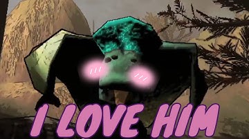 making friends with Tulip Snakes in lethal company | first encounter