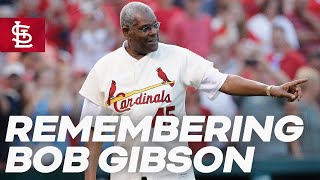 Celebrity Remembering Bob Gibson Net Worth