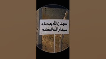 لا تهجر القران الكريم جزاك الله خيرا 🤍 ❤️#تكفون وصلوني 10,000 مشترك