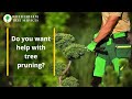 Rotherham Tree Services is your go-to provider for comprehensive tree care and land management services in the Rotherham. With a steadfast commitment to environmental sustainability, safety, and customer satisfaction, we have been serving the community for years. Our wide range of services is designed to address all your tree-related needs while ensuring the utmost care for your environment.

Professional Tree Removal:

If you have a tree that poses a hazard or needs to be removed for any reason, our professional tree removal service is here to help. We employ certified arborists and skilled tree removal specialists who can safely and efficiently remove trees of any size or condition. Safety is our top priority, and we follow industry best practices to minimize risks and protect your property.

Expert Tree Pruning and Trimming:

Proper tree pruning and trimming are essential for maintaining tree health and aesthetics. Our certified arborists have the knowledge and expertise to assess your trees' specific needs and carry out precise pruning and trimming. We tailor our services to enhance the beauty and longevity of your trees while minimizing any negative impacts.

Stump Grinding and Removal:

Stumps can be unsightly and potentially hazardous obstacles in your landscape. Our stump grinding and removal service utilizes specialized equipment to quickly and effectively eliminate stumps, leaving your property clear and safe. We ensure that the entire stump, including the roots, is removed, allowing you to reclaim your outdoor space.

Tree Health and Disease Management:

Our tree health and disease management services are aimed at preserving the vitality of your trees. We provide regular inspections and treatments to prevent or address common tree diseases and pests. Our proactive approach ensures that your trees thrive and remain an asset to your property.

Land Clearing and Lot Preparation:

Preparing land for construction or landscaping projects requires careful clearing and preparation. Rotherham Tree Services offers land clearing services to remove trees, vegetation, and debris efficiently. Whether you're planning to build a new structure or enhance your landscape, our team has the equipment and expertise to get the job done efficiently.

Wood Chipping and Mulching:

Tree debris, branches, and prunings can be transformed into valuable wood chips or mulch. Our wood chipping and mulching service not only recycles tree waste but also provides you with a useful landscaping material. Mulch can help improve soil quality, retain moisture, and reduce weed growth in your garden.

Emergency Tree Services:

Nature can sometimes throw unexpected challenges your way. Storms, heavy winds, and other disasters can cause trees to fall or become damaged. Our emergency tree services are available 24/7 to address urgent tree removal and cleanup needs. We respond promptly to mitigate potential hazards and property damage.

Environmentally Responsible Practices:

At Rotherham Tree Services, we are deeply committed to sustainability and environmentally responsible practices. We strive to minimize waste by recycling tree debris into usable materials like mulch and firewood. Additionally, our team follows strict safety protocols to protect your property and the environment during all our operations.

Customer Satisfaction Guaranteed:

We take pride in delivering high-quality services that meet and exceed our customers' expectations. Your satisfaction is our ultimate goal, and we work closely with you to ensure your tree care and land management needs are met effectively and affordably.

Choose Rotherham Tree Services as your trusted partner for all your tree care and land management requirements. We combine expertise, dedication, and eco-friendly practices to keep your trees healthy and your outdoor spaces beautiful. Contact us today for a consultation and let us help you enhance your property's beauty and value.

https://rotherhamtreeservices.co.uk/