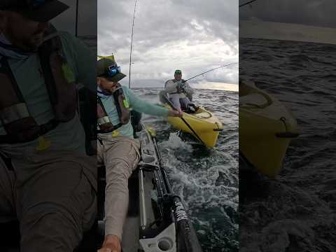 That’s a tournament king! #kayakfishing #florida #fishinglife #hobiefishing