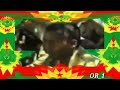 Sirba Hawwisoo Caffee Gadaa OROMOO Lammii KOO Dhiira Dhalaani Ja Ee Sirbu Kana 笙 Waliin Turtii Garri Sirba Hawwisoo Caffee Gadaa OROMOO Lammii KOO Dhiira Dhalaani Ja Ee Sirbu Kana 笙 Waliin Turtii Garri