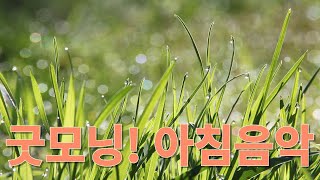 굿모닝! 아침음악, 신선하고 상쾌한 아침에 듣기좋은 힐링음악, Good morning music, listen to in a fresh and refreshing morning