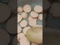 املت سوسیس خوشمزه و سه سوته
