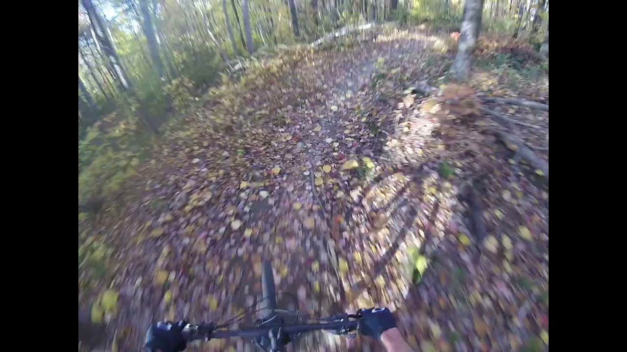 Green Woodlands Recon 1st trip