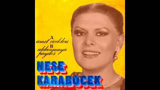 Neşe Karaböcek - Aldanmaya Paydos