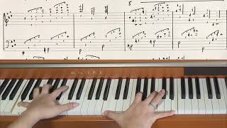 Piano Piece for World's Biggest Hands No.1381  Forest Brook  - Original Piano Composition