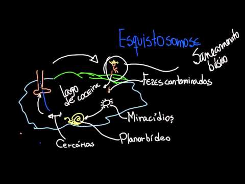 Video: Differenza Tra Tenia E Nematode