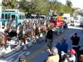 Clydesdales at Thunder by the Bay