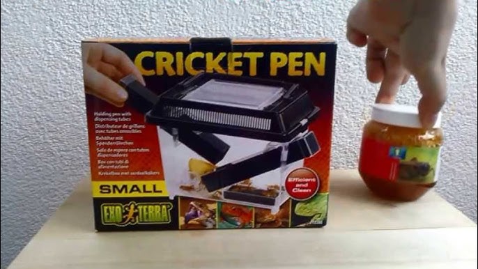 Exo terra cricket pen review! 