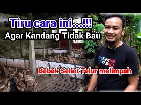 Video: Bagaimana untuk membersihkan skrin yang semakin intensif?