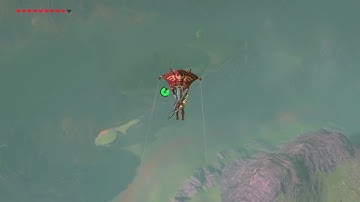 [DAY 268] of finding one korok seed everyday until Botw2 comes out