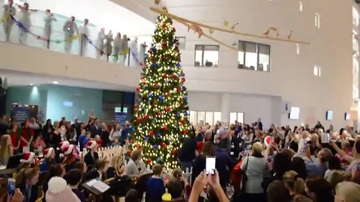Christmas Lights Switch-on at Alder Hey in the Park 2015