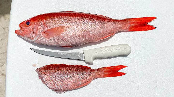 EASIEST Way to Fillet Vermillion Snapper (Beeliner Snapper)