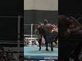 Raven Hits Al Snow With The Evenflow DDT! (JAPW 2002) 💥 #Shorts