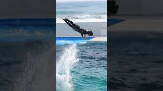 匠のキレッキレスカイロケット最高!! #Shorts #鴨川シーワールド #シャチ #Kamogawaseaworld #Orca #Killerwhale #スカイロケット