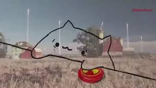 bango cat