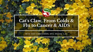 Cat’s Claw, From Colds & Flu to Cancer & AIDS