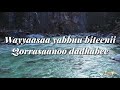 ABBABAA ABBASHUU - BAKKANIISA SOOFANII - Lyrics Mp3 Song