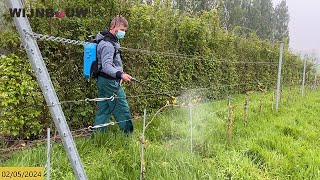 Tw Eerste Behandeling Van De Wijngaard In Het Jaar.