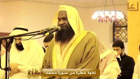 الشيخ عادل الكلباني وتلاوة عطرة من سورتي محمد والفتح من عشائيات 1438 هـ