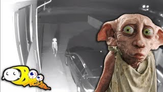 Let's Explain This Dobby Like Elf\/Creature Caught On Camera In Woman's Driveway