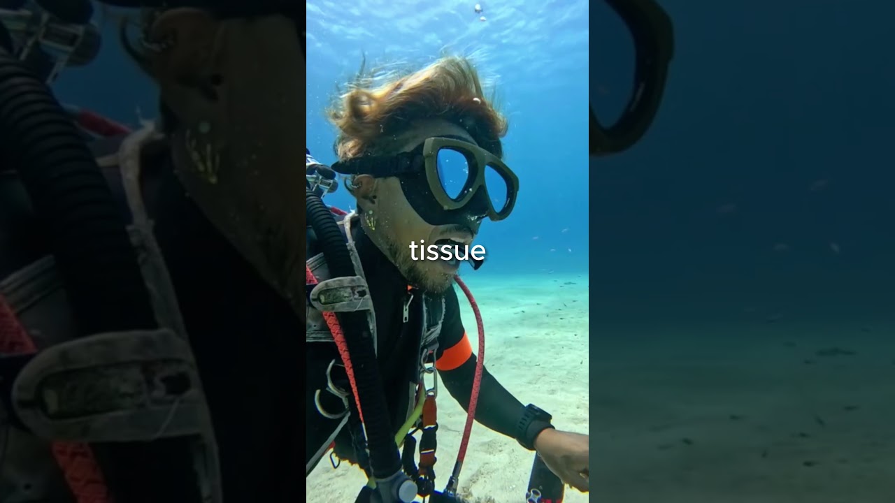 Почему эта рыба — стоматолог?🤔